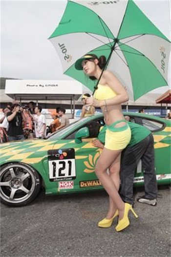 野狗和大美人txt宝