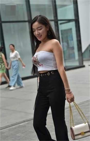 杨一凡百度网盘