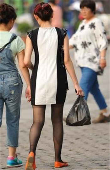 小菜头喵喵喵圣诞主题