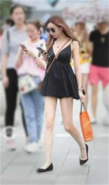 免费视频网络app软件下载