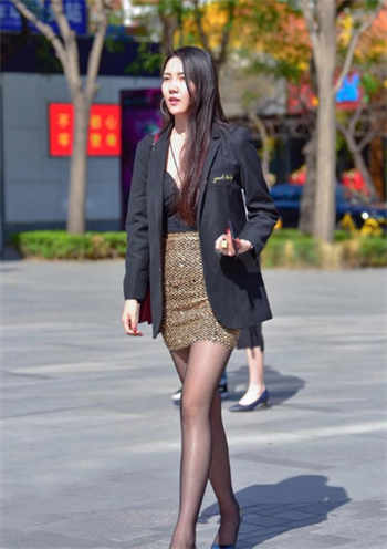 杨思明敏金瓶全集